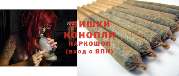 spice Новодвинск