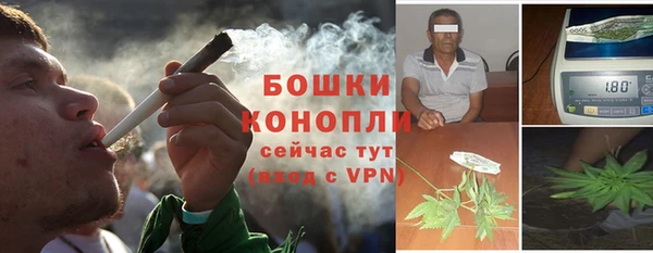 spice Новодвинск
