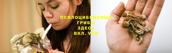 мяу мяу мука Нягань