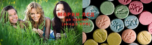 spice Новодвинск
