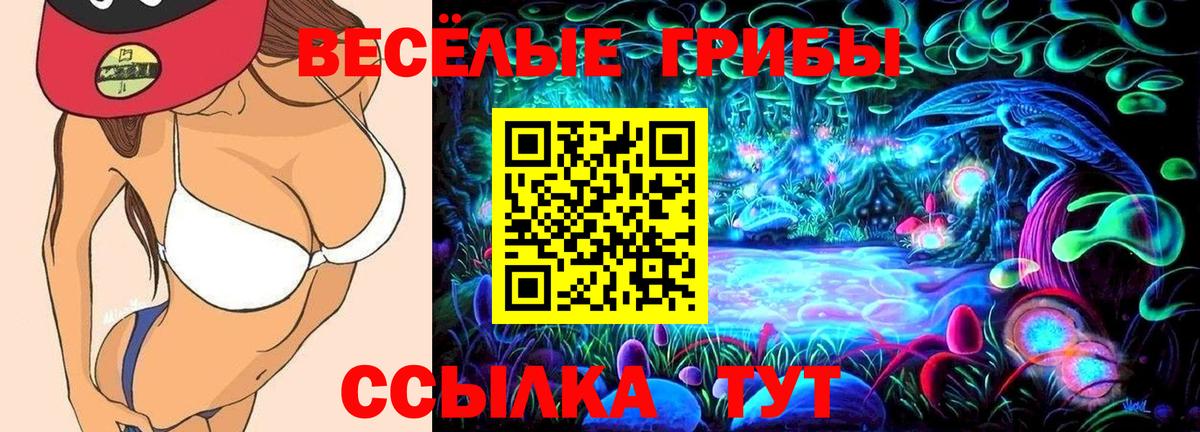 Галлюциногенные грибы MAGIC MUSHROOMS  Псилоцибиновые грибы GOLDEN TEACHER  дарнет шоп  Вход с VPN  Большой Камень 