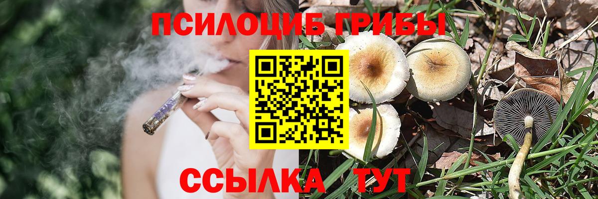 Галлюциногенные грибы мухоморы  Большой Камень  Галлюциногенные грибы Psilocybe 