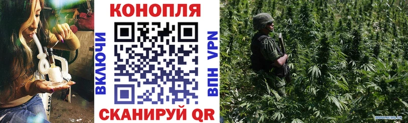 дарнет шоп  Большой Камень  Шишки марихуана планчик 